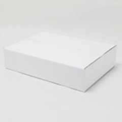 【新品】白ダンボール箱 浅型タイプ A3サイズ対応【宅配100サイズ(3辺90cm)】の画像