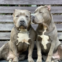 『急募』一緒に働いてくれるスタッフ募集中の画像