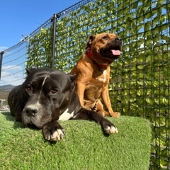 『急募』一緒に働いてくれるスタッフ募集中の画像