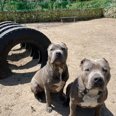 『急募』一緒に働いてくれるスタッフ募集中の画像