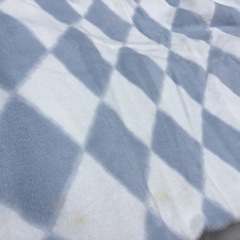 ELLE  淡いブルー＆ホワイト　毛布の画像