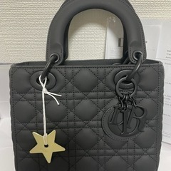 レディディオール　DIOR バッグ