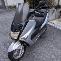 マジェスティ125 (自賠責今年の12月まで)