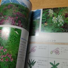 登山本とお花の本の画像