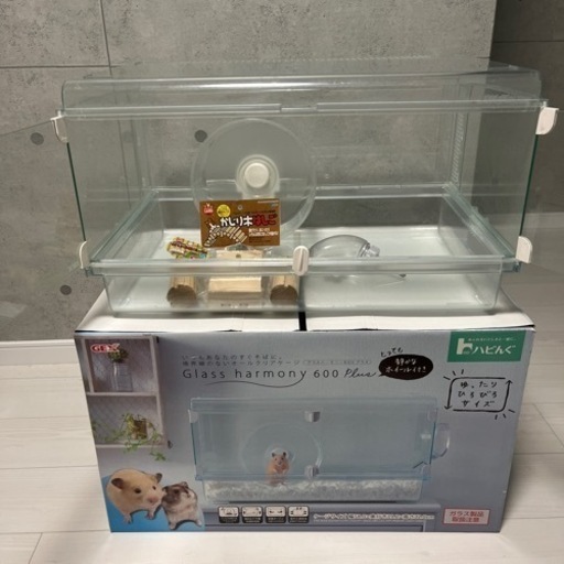 【値下】グラスハーモニー６００plus 箱付