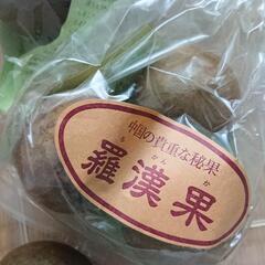 【無料！！】羅漢果☆ラカンカ