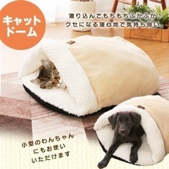値下げ　新品未使用　モチモチペットベッド