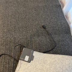 一畳ホットカーペットの画像
