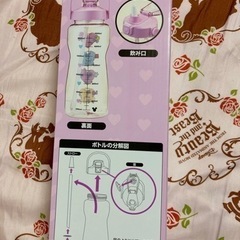 【お値下げしました】ミッキー&ミニー ビッグクリアボトルの画像