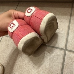 14.5センチ　コンバースの画像
