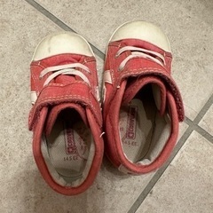 14.5センチ　コンバースの画像