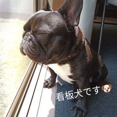 塗装屋さんで働きませんか？の画像