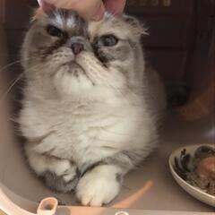 突然公園に...エキゾチック！？ - 熊谷市