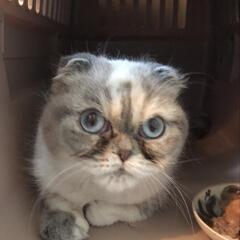 突然公園に...エキゾチック！？の画像