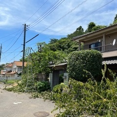急募‼️造園土木作業サポート　未経験OK！！の画像