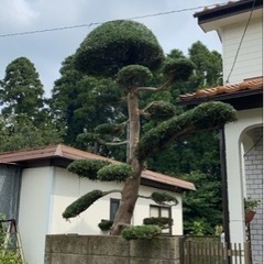 急募‼️造園土木作業サポート　未経験OK！！の画像