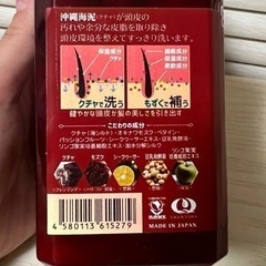 Ryuspa 頭皮クレンジングシャンプーの画像