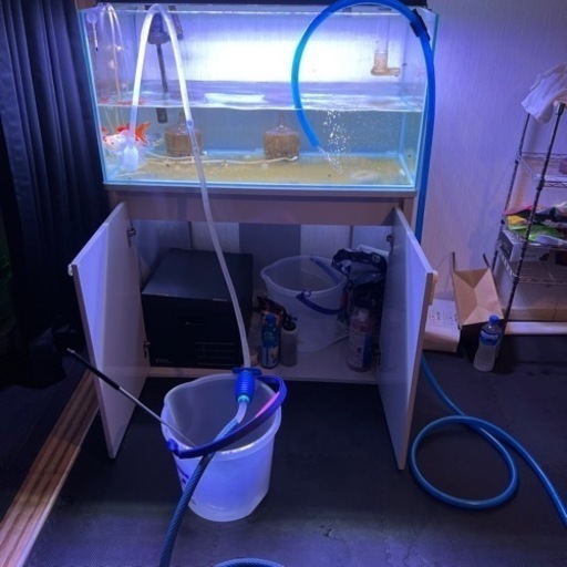 90㎝水槽　水槽台　上部フィルター　金魚3匹