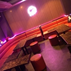 バーテンダー、ホールスタッフ(配膳)の画像
