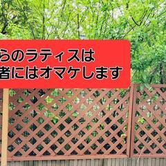 木製 ルーバー　ラティス　フェンス　3枚セット
