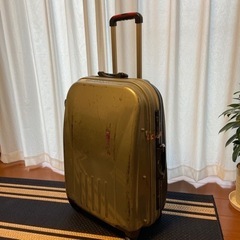 NASAっぽい色　トランクに入れやすいサイズです　キャリーケース...