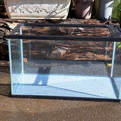 60㎝ガラスの水槽、めだか等の飼育にどうぞの画像