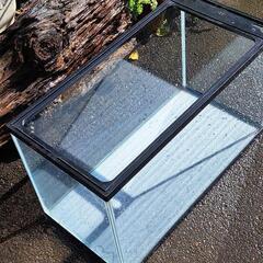 60㎝ガラスの水槽、めだか等の飼育にどうぞの画像
