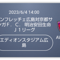 【決定しました】サンフレッチェ6/4バック指定席