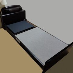 ♪FRANCE BED/フランスベッド ファルドR/FL-RX1 電動リクライニングベッド