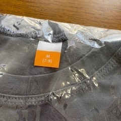 【お話し中】ノースフェイス風　Tシャツの画像