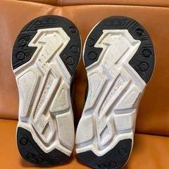 瞬足　17.0 3E スニーカーの画像