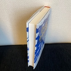 イルカと少年の歌 海を守りたい　やさしい気持ちになれますの画像