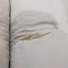 折りたたみ　ソファー　ホワイト　2人掛けの画像