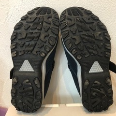 moonstar メンズ ローカットスニーカー25.5cm（ブルー）の画像