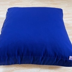 新品未使用　トゥルースリーパー　座布団の画像