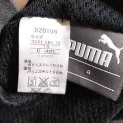 プーマの画像