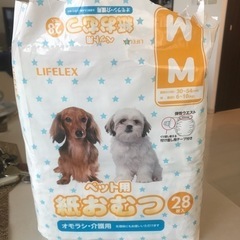 ペット用紙おむつ　サイズM コーナン購入