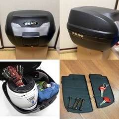 【SHAD SH40】美品の画像