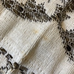 レース調のテーブルクロスの画像