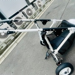 エアバギー　ブレーキモデル　ホワイトフレーム