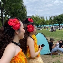 府中　フラダンス サークル　メンバー募集💕 − 東京都