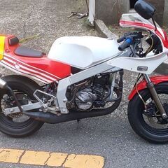 ホンダ NSR50 実動車両 鍵・書類あり