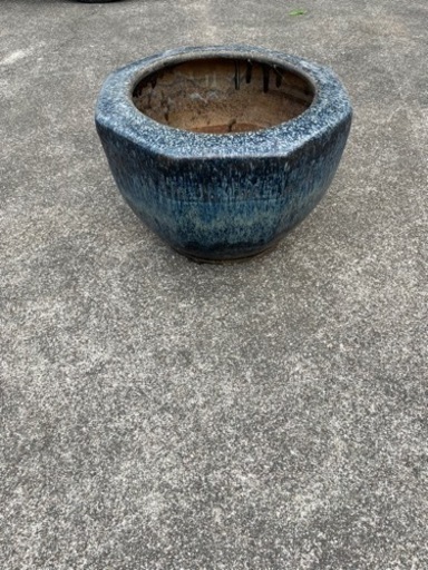 火鉢　メダカ