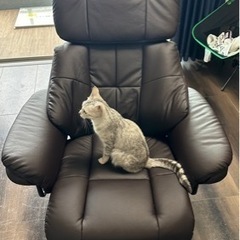 PERSONAL CHAIR パーソナルチェア の画像
