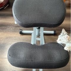 バランスチェアの画像