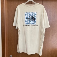 ザノースフェイス　Tシャツ　M メンズの画像