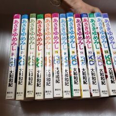あさきゆめみし　全13巻