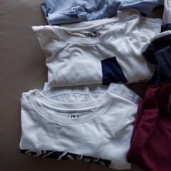 Tシャツ差し上げますの画像