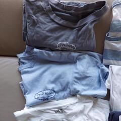 Tシャツ差し上げますの画像