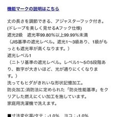 美品　ニトリ　遮熱・遮像レースカーテン（コーラルイエローグリーン100×108）の画像